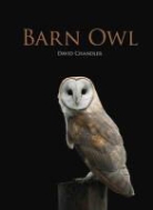 Nigel Blake, David Chandler, David Blake Chandler, CHANDLER DAVID BLAKE NIGEL - Barn Owl