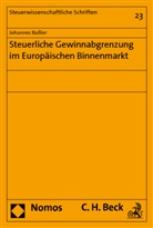Johannes Baßler - Steuerliche Gewinnabgrenzung im Europäischen Binnenmarkt