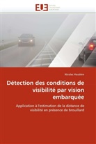 Nicolas Hautière, Hautiere-N - Detection des conditions de
