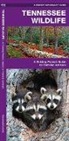 James Kavanagh, James/ Leung Kavanagh, Waterford Press, Raymond Leung - Tennessee Wildlife
