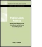Paul Culhane, Paul J. Culhane, Paul J. (Northern Illinois University Culhane, Culhane Paul J., Paul J. Culhane - Public Lands Politics
