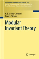 H E A Edd Campbell, H E a Eddy Campbell, H. E. A. Campbell, H. E. A. Eddy Campbell, H.E.A. Eddy Campbell, David L Wehlau... - Modular Invariant Theory