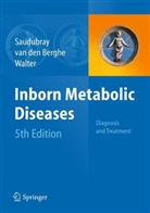 Georges van den Berghe, John H Walter, Jean-Marie Saudubray, George van den Berghe, John H. Walter - Inborn Metabolic Diseases