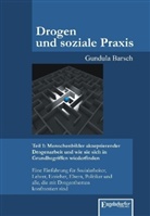 Gundula Barsch - Drogen und soziale Praxis - 1: Menschenbilder akzeptierender Drogenarbeit und wie sie sich in Grundbegriffen wiederfinden