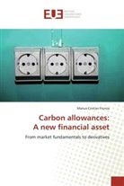 Marius-Cristian Frunza, Frunza-M - Carbon allowances: a new