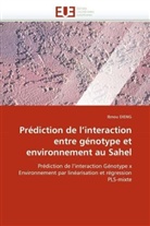 Ibnou DIENG, Dieng-I - Prediction de l interaction entre