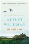 Ayelet Waldman - Red Hook Road