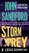 John Sandford - Storm Prey