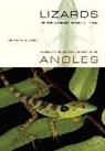 Jonathan Losos, Jonathan B. Losos, Jonathan B./ Greene Losos, Losos Jonathan - Lizards in an Evolutionary Tree