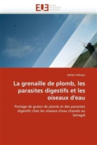 Adrien Nahayo, Nahayo-A - La grenaille de plomb, les