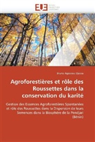 Agossou Djossa-B, Bruno Agossou Djossa - Agroforestieres et role des