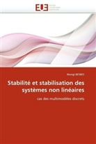 Mongi BESBES, Besbes-M - Stabilite et stabilisation des