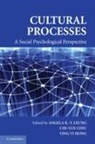 Angela K. -Y. Leung, Angela K.-Y. (Singapore Management Universi Leung, Angela K.-Y. Chiu Leung, Angela Ki Che Chiu Leung, LEUNG ANGELA KI CHE CHIU CHI YUE, Chi-Yue Chiu... - Cultural Processes
