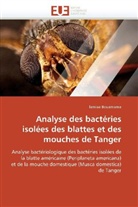 lamiaa Bouamama, Bouamama-L - Analyse des bacteries isolees des
