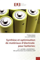 Matthie Dubarry, Matthieu Dubarry, Joë Gaubicher, Joël Gaubicher, Domini Guyomard, Dominique Guyomard - Synthese et optimisation de