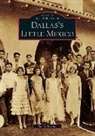 Sol Villasana - Dallas's Little Mexico