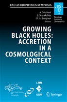 Rashid A Sunyaev, Andrea Merloni, Sergei Nayakshin, Sergei V. Nayakshin, Rashid A. Sunyaev, Serge V Nayakshin... - Growing Black Holes: Accretion in a Cosmological Context