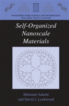 Motonar Adachi, Motonari Adachi, J Lockwood, J Lockwood, David J Lockwood, David J. Lockwood - Self-Organized Nanoscale Materials