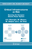 L. J. De Vries, L.J. De Vries, A Gheorghe, A V Gheorghe, A. V. Gheorghe, A.V. Gheorghe... - Critical Infrastructures at Risk