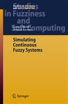 James Buckley, James J Buckley, James J. Buckley, Leonard J Jowers, Leonard J. Jowers - Simulating Continuous Fuzzy Systems