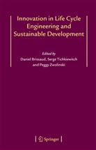 Daniel Brissaud, Serg Tichkiewitch, Serge Tichkiewitch, Peggy Zwolinski - Innovation in Life Cycle Engineering and Sustainable Development