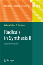 Andrea Gansäuer, Andreas Gansäuer - Radicals in Synthesis II
