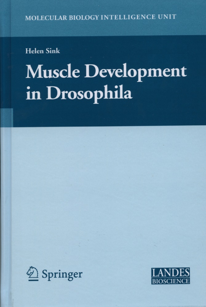 Helen Sink - Muscle Development in Drosophilia