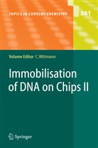 Christin Wittmann, Christine Wittmann - Immobilisation of DNA on Chips II