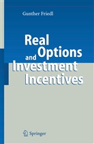 Gunther Friedl - Real Options and Investment Incentives