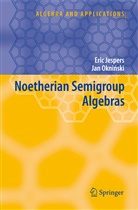 Eri Jespers, Eric Jespers, Jan Okninski - Noetherian Semigroup Algebras