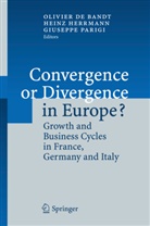 Olivier de Bandt, Hein Herrmann, Heinz Herrmann, Giuseppe Parigi - Convergence or Divergence in Europe?