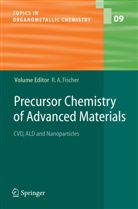 Rolan A Fischer, Roland A Fischer, Roland A. Fischer - Precursor Chemistry of Advanced Materials