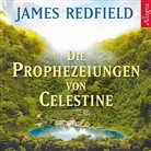 Henk Flemming, James Redfield, Henk Flemming - Die Prophezeiungen von Celestine, 9 Audio-CD (Hörbuch)
