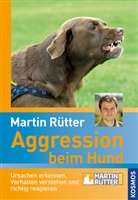 Martin Rütter - Aggression beim Hund