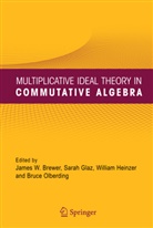 James W. Brewer, Sara Glaz, Sarah Glaz, William Heinzer, William Heinzer et al, Bruce Olberding - Multiplicative Ideal Theory in Commutative Algebra