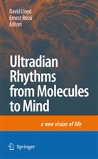 Davi Lloyd, David Lloyd, ROSSI, Rossi, Ernest Rossi - Ultradian Rhythms from Molecules to Mind