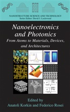 Anatol Korkin, Anatoli Korkin, Rosei, Rosei, Federico Rosei - Nanoelectronics and Photonics