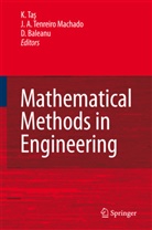 A Tenreiro Machado, J A Tenreiro Machado, D Baleanu, D. Baleanu, José A. Tenreiro Machado, José António Tenreiro Machado... - Mathematical Methods in Engineering