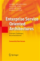 Ashish Jain, Ashish et al Jain, Mark Little, Jame McGovern, James Mcgovern, Olive Sims... - Enterprise Service Oriented Architectures