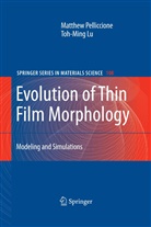 Toh-Ming Lu, Matthe Pelliccione, Matthew Pelliccione - Evolution of Thin Film Morphology