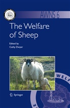 Cath Dwyer, Cathy Dwyer - The Welfare of Sheep
