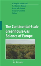 Han Dolman, A Freibauer, A. Freibauer, Riccard Valentini, Riccardo Valentini - The Continental-Scale Greenhouse Gas Balance of Europe