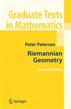 Peter Petersen - Riemannian Geometry
