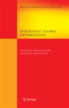 Anatol Zhigljavsky, Anatoly Zhigljavsky, Antanas Zilinskas, Antanasz Zilinskas - Stochastic Global Optimization