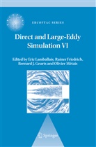 Raine Friedrich, Rainer Friedrich, Bernard J. Geurts, Bernard J Geurts et al, E. Lamballais, Eric Lamballais... - Direct and Large-Eddy Simulation VI