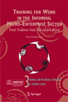 Hans Christiaan Haan - Training for Work in the Informal Micro-Enterprise Sector