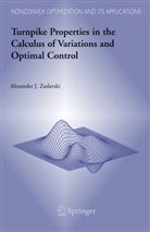 Alexander Zaslavski, Alexander J Zaslavski, Alexander J. Zaslavski - Turnpike Properties in the Calculus of Variations and Optimal Control