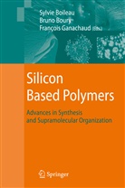 Sylvi Boileau, Sylvie Boileau, Bruno Boury, François Ganachaud - Silicon Based Polymers