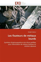 Madjid Hadioui, Hadioui-M - Les fixateurs de metaux lourds