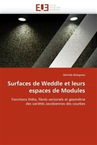 Michele Bolognesi, Bolognesi-M - Surfaces de weddle et leurs